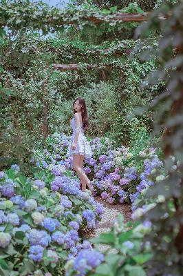 GOGOGO高清在线播放免费观看如果奔跑是湘